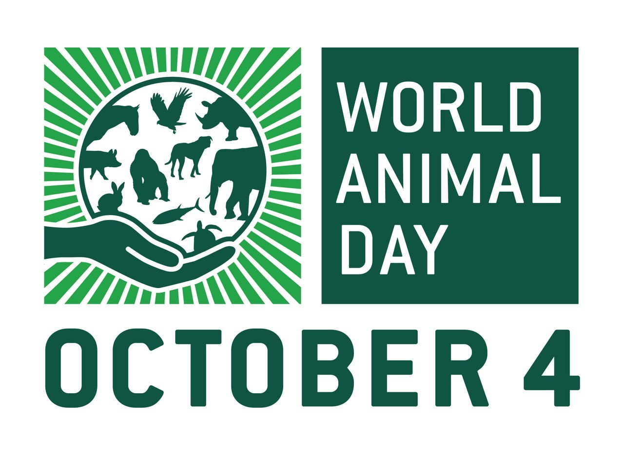 Фото Всемирный День Животных