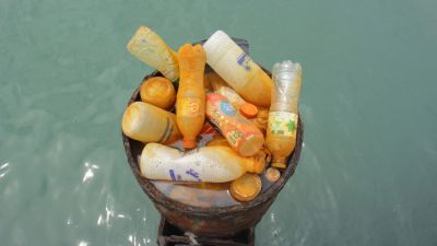 Найдена бактерия, поедающая пластик