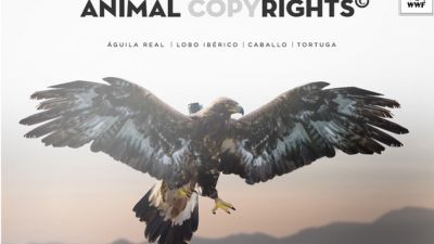 Авторские права животных