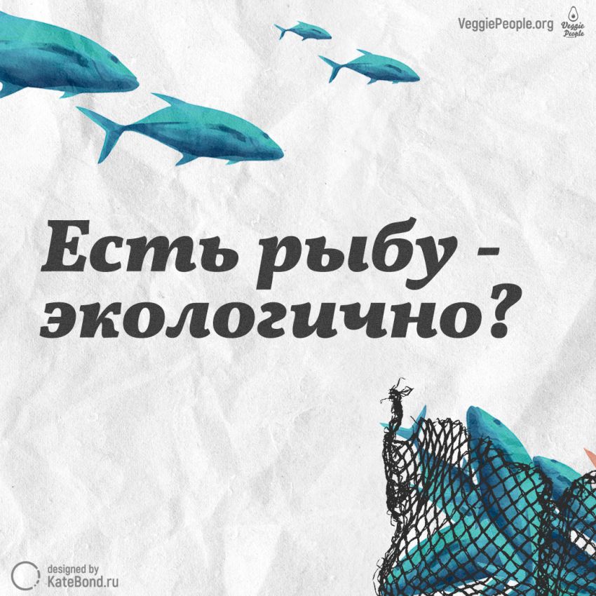 Инфографика VeggiePeople.prg: есть рыбу — экологично?