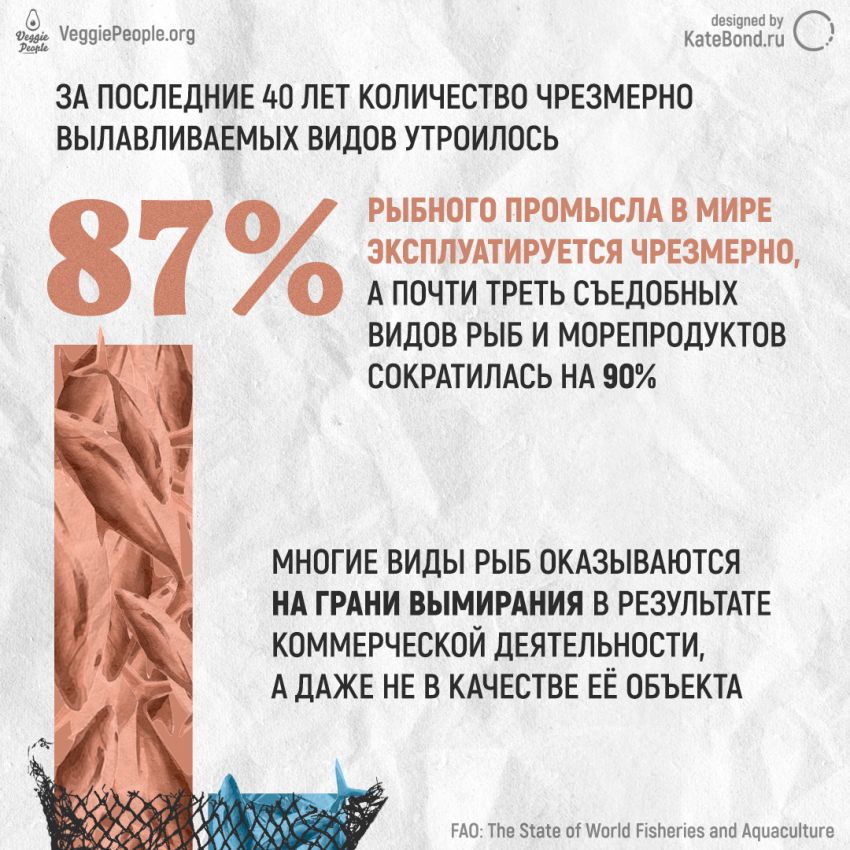 Инфографика VeggiePeople.prg: есть рыбу — экологично?