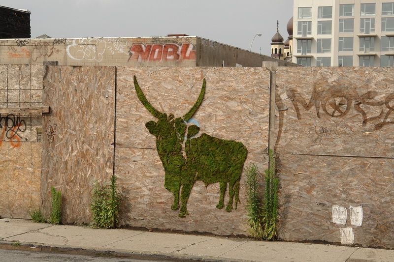 Мхом по стене: художники всё чаще обращаются к «зеленым» граффити