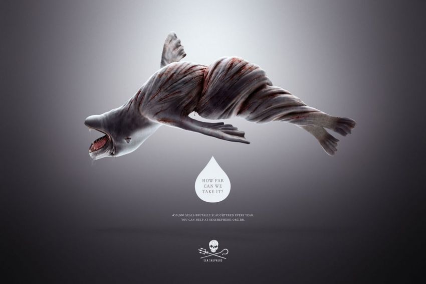 450 тысяч тюленей жестоко забиваются каждый год.