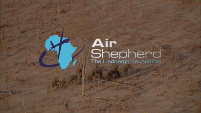 Дроны Air Shepherd помогают защитить животных от браконьеров