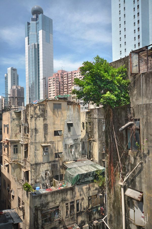 Вопреки всему: живая природа Гонконга